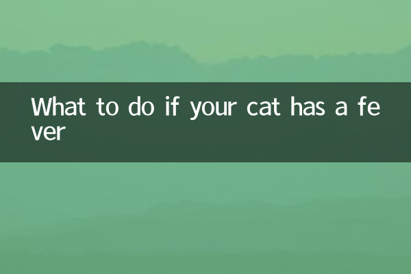 What to do if your cat has a fever