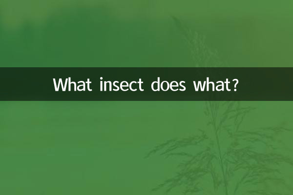 کیا کیڑے کیا کرتا ہے؟