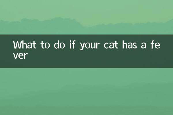 Que faire si votre chat a de la fièvre