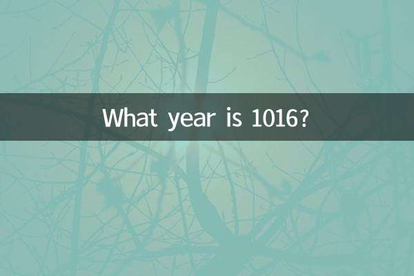 ما هو العام 1016؟