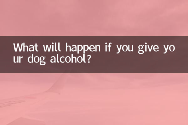 اگر آپ اپنے کتے کو شراب دے دیں تو کیا ہوگا؟