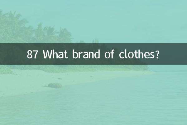 87 Какая марка одежды?