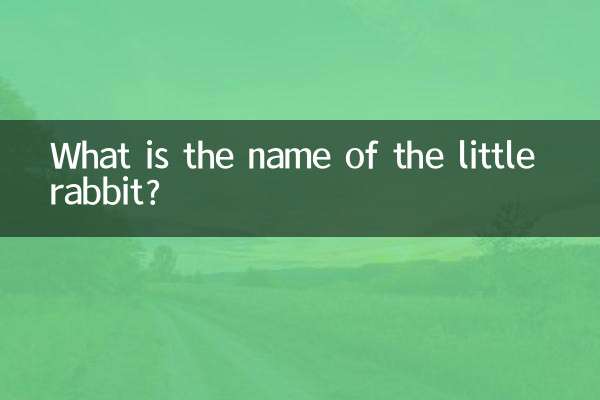 What is the name of the little rabbit?
