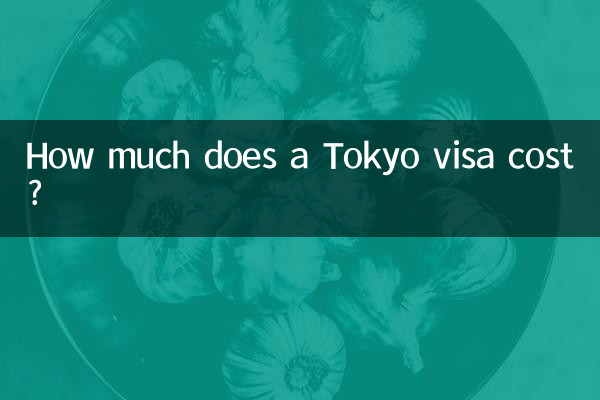 टोक्यो वीज़ा की लागत कितनी है?