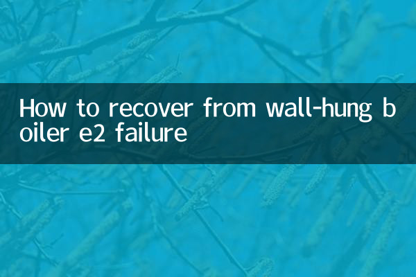 वॉल-हंग बॉयलर ई2 की विफलता से कैसे उबरें
