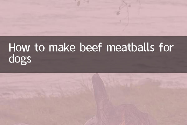 Como fazer almôndegas de carne para cachorro