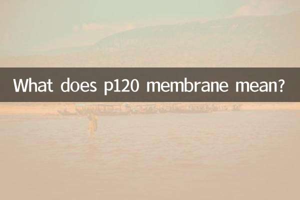 p120 멤브레인은 무엇을 의미합니까?