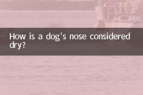 Come viene considerato secco il naso di un cane?