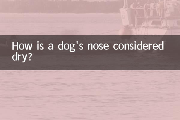 Come viene considerato secco il naso di un cane?