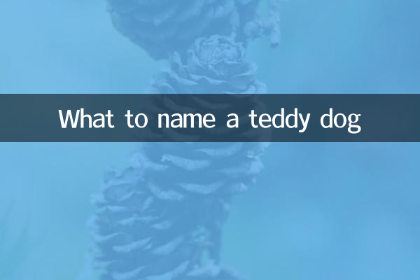 테디 개 이름은 무엇입니까?