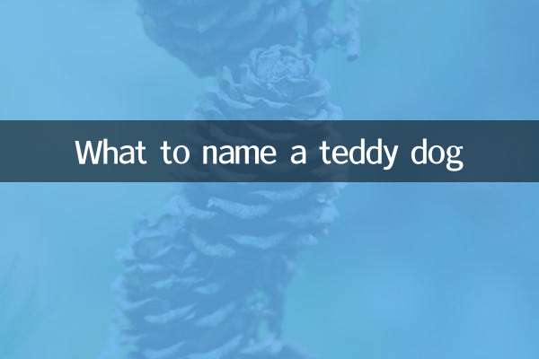 테디 개 이름은 무엇입니까?