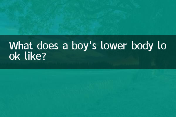 Como é a parte inferior do corpo de um menino?