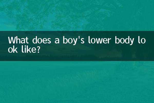 What does a boy's lower body look like?