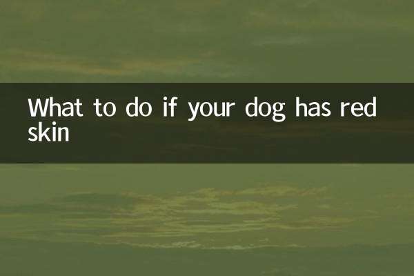 犬の皮膚が赤くなったらどうするか