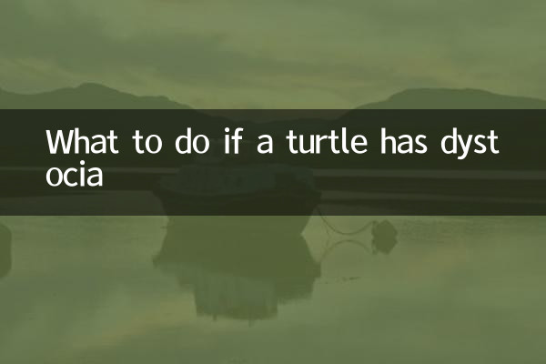 ماذا تفعل إذا كانت السلحفاة تعاني من عسر الولادة