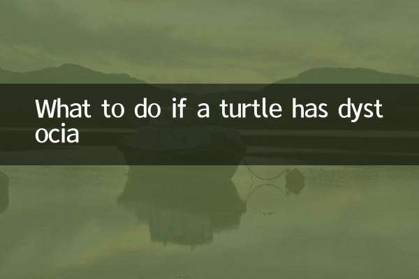 কচ্ছপের ডিস্টোসিয়া হলে কী করবেন