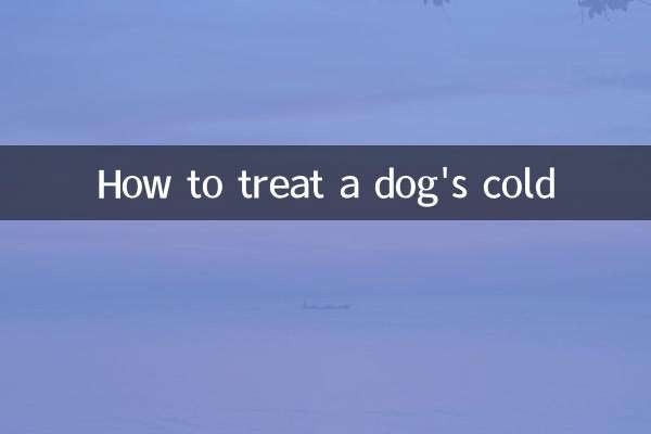 犬の風邪の治し方