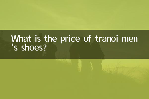 트라노이 남성 신발 가격은 얼마인가요?