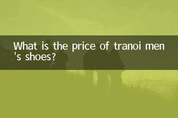 트라노이 남성 신발 가격은 얼마인가요?