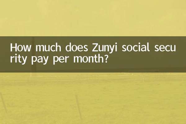 زونی سوشل سیکیورٹی ہر ماہ کتنا ادا کرتی ہے؟