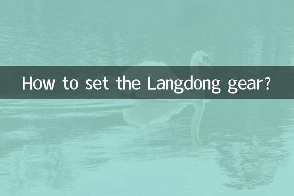 랑동 기어는 어떻게 설정하나요?