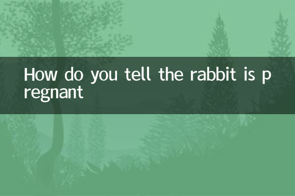 Comment dites-vous que le lapin est enceinte