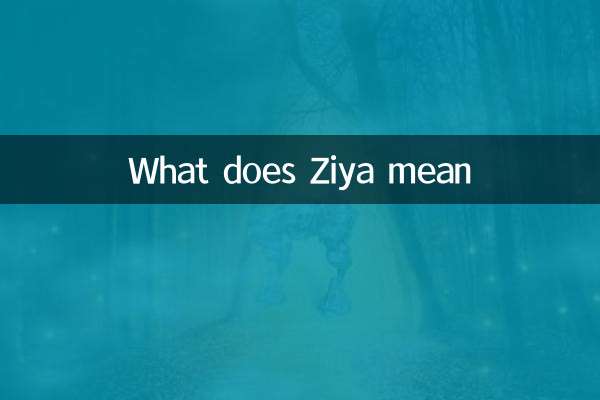 Que signifie « Zi Yao » ?