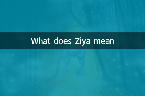 ماذا يعني زيا