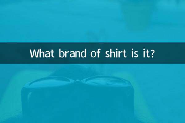 ¿Qué marca de camisa es?