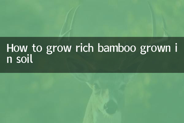 Cómo cultivar bambú rico cultivado en el suelo