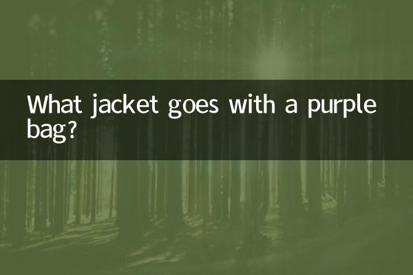 Quelle veste va avec un sac violet ?