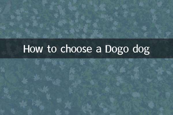কিভাবে একটি Dogo কুকুর চয়ন
