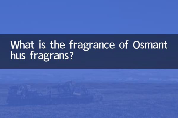 Qual é a fragrância de Osmanthus fragrans?