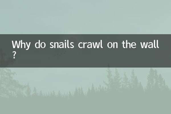 Why do snails crawl on the wall?