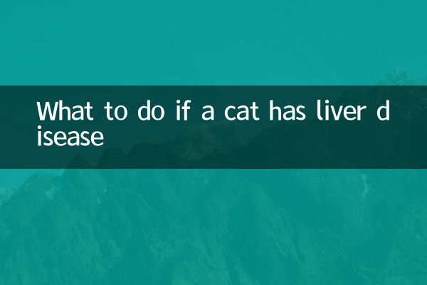 猫が肝臓病になったらどうするか