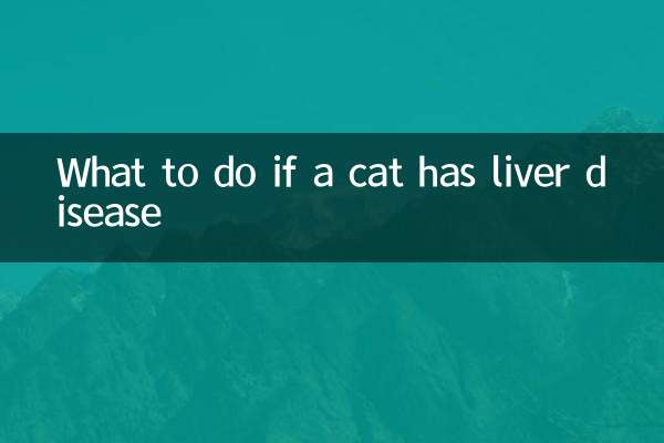 고양이에게 간 질환이 있으면 어떻게 해야 할까요?