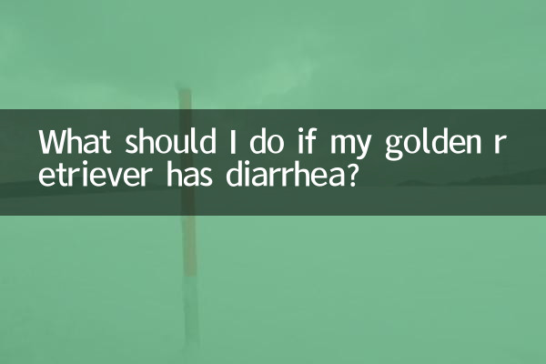 ¿Qué debo hacer si mi golden retriever tiene diarrea?
