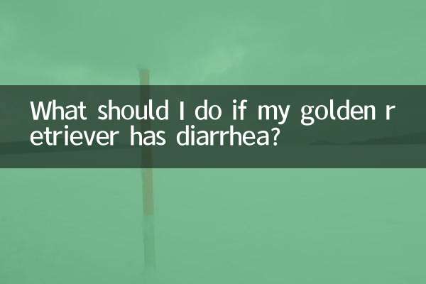 ¿Qué debo hacer si mi golden retriever tiene diarrea?