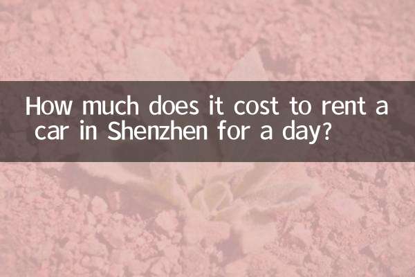¿Cuánto cuesta alquilar un coche en Shénzhen por un día?