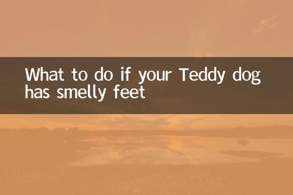 テディドッグの足が臭い場合の対処法