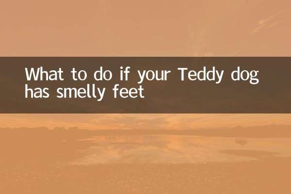 テディドッグの足が臭い場合の対処法
