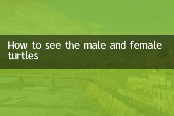 Come vedere le tartarughe maschi e femmine