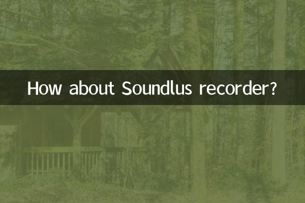 ماذا عن مسجل Soundlus؟