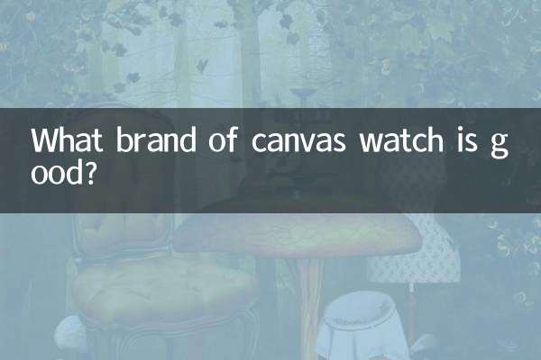 কোন ব্র্যান্ডের ক্যানভাস ঘড়ি ভালো?