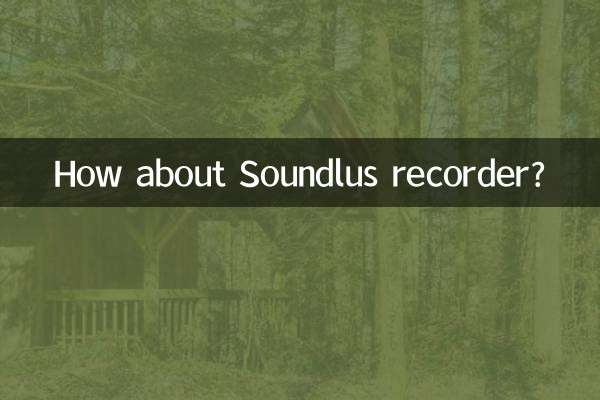 Soundlus 레코더는 어떻습니까?