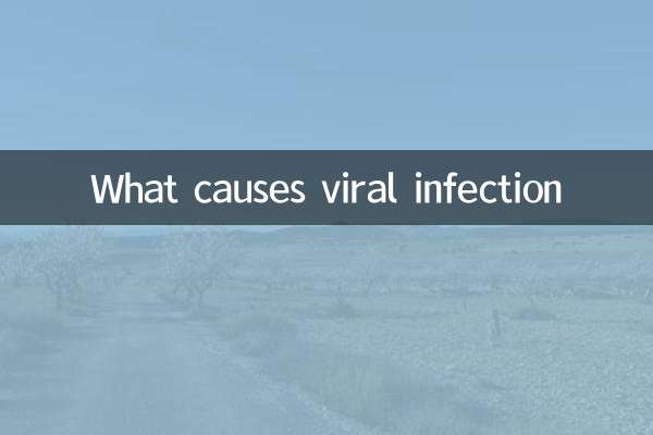 病毒感染由什么引起