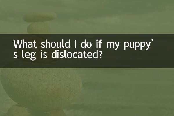 আমার কুকুরছানাটির পা স্থানচ্যুত হলে আমার কী করা উচিত?