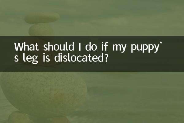 আমার কুকুরছানাটির পা স্থানচ্যুত হলে আমার কী করা উচিত?