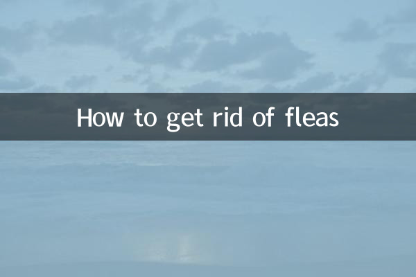 How to get rid of fleas
