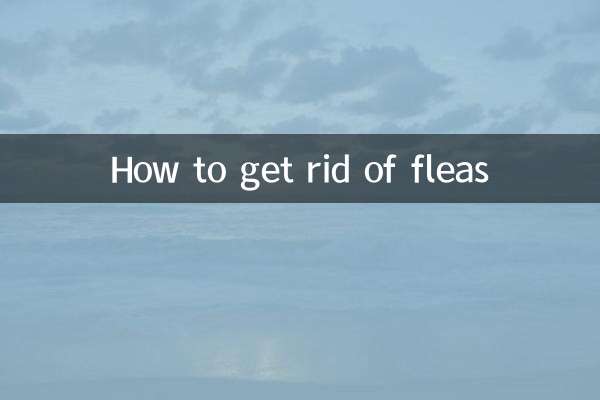 How to get rid of fleas